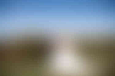 Couple Portraits at a wedding at the Cliff Hotel and Spa by South Wales Wedding Photographer