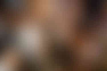 South Wales Wedding Photography at Rhosygilwen by a South Wales Wedding Photographer