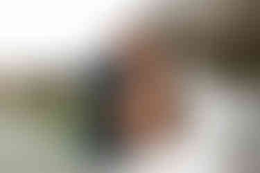 Couple Portrait at South Wales Wedding at the Emlyn hotel by South Wales Wedding Photographer