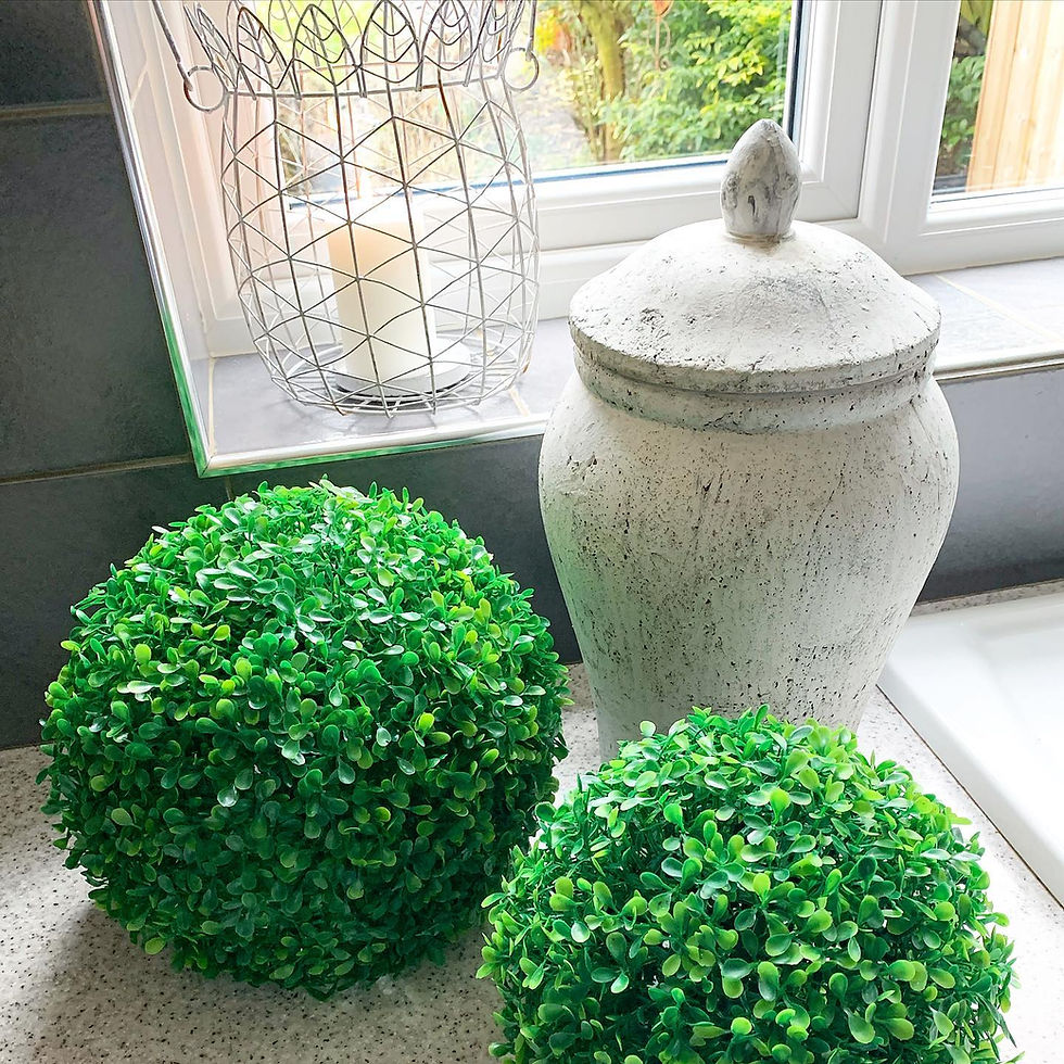 Thumbnail: Buxus Ball