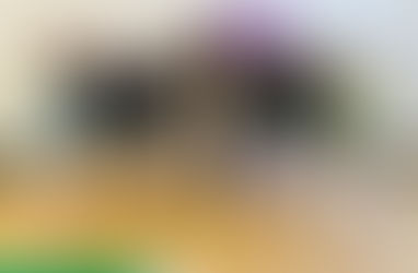 Shana Gruber Workshop