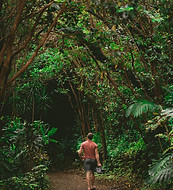 Man Walking Forest