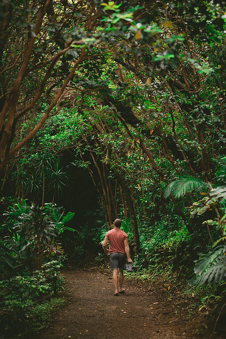 Into the Woods