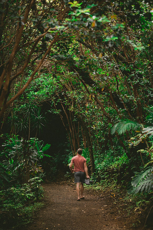 Man Walking Forest