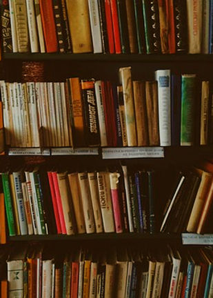 bookcases-1869616_640_edited.jpg