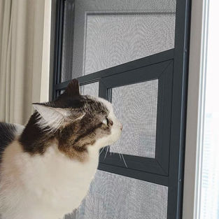  二合一方案，同時滿足防蟲與守護毛孩安全的需求，強調耐用與透光。「通風防蟲與守護毛孩的一站式方案。採用 304/316 不銹鋼金鋼網，耐抓、抗衝擊且不易受損；亦提供高清防蚊網，阻隔害蟲同時保持室內視野清晰。堅固美觀，給家人與寵物最全面的保護。」
