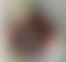 Archaeology Family Drop In