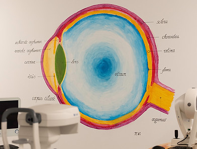 Oeil