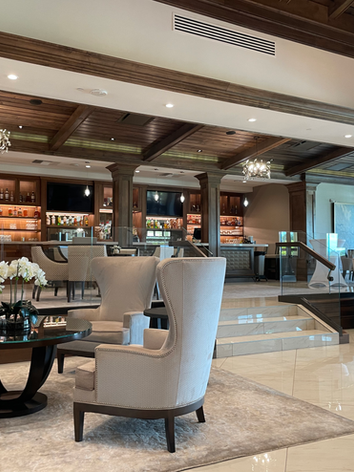 A Night in the Vineyard