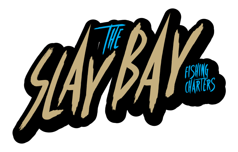 Slay The Bay Fishing Charters Of Tampa Bay