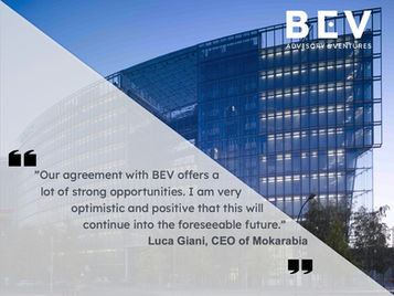 How BEV Can Help You Grow Your Business?