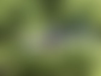 Adana Etkinlik Drone Çekimi