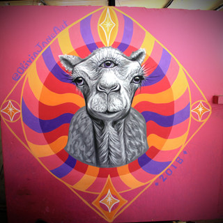 "Woke Camel"