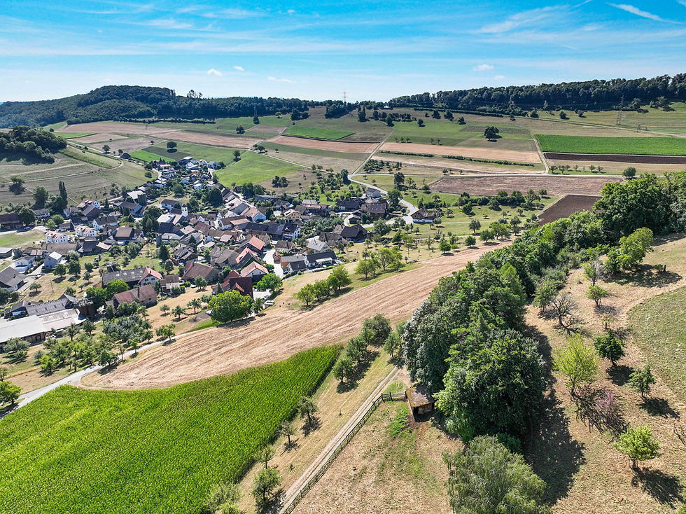 Ökologische Infrastruktur in Mandach