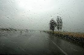 A Taste of Kiarostami