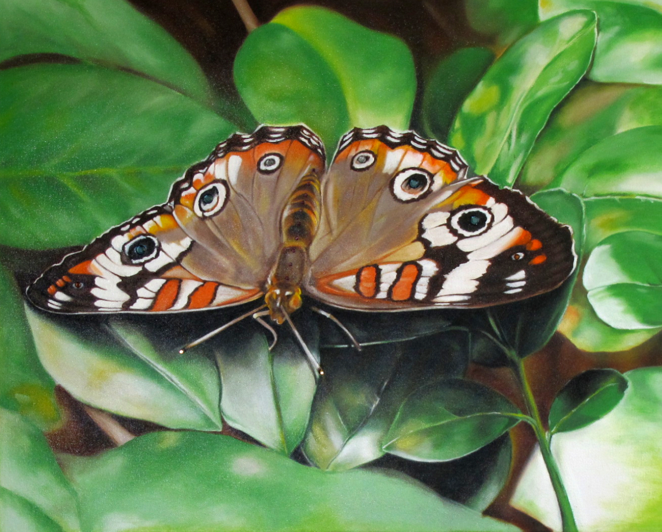 Barbados Painter David Humphrey Art United States