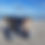 Thumbnail: My Beach Cart® (Protected by U.S. Pat. No. 11,738,787 and other patents