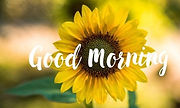 good%20Morning%20flowers_edited.jpg
