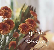 good%20Morning%20flowers_edited.jpg