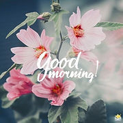 good%20Morning%20flowers_edited.jpg