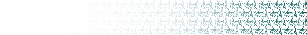 Pattern2-1.png