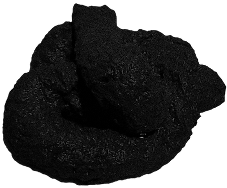 Dog Poop_edited_edited_edited_edited.png