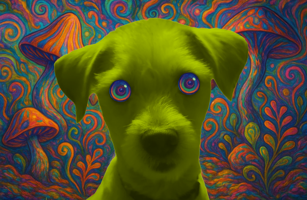 Screenshot 2025-05-09 at 1.06.51 AM.png