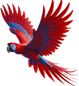 DALL·E 2024-10-29 04_edited.png