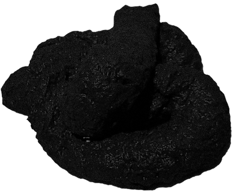 Dog Poop_edited_edited_edited_edited_edi