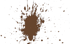 Poop Splatter_edited_edited.png