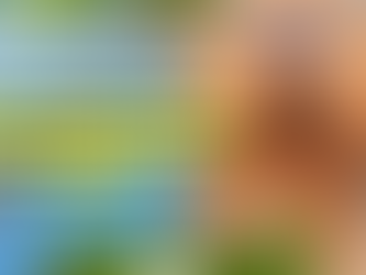 De hotel para cães a resort de luxo: o empreendedorismo no mercado pet está em alta