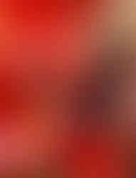 Exploring amazing food in Bangkok