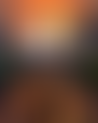 Bangkok from a different perspective