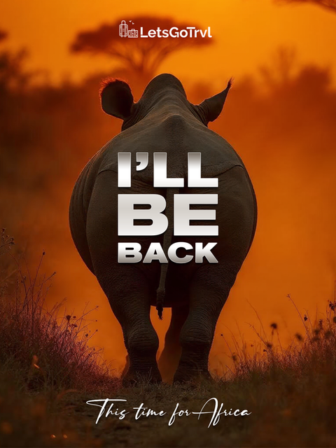 Creative design for LetsGoTrvl