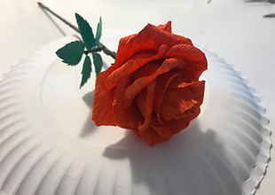 IMG_7959.jpg