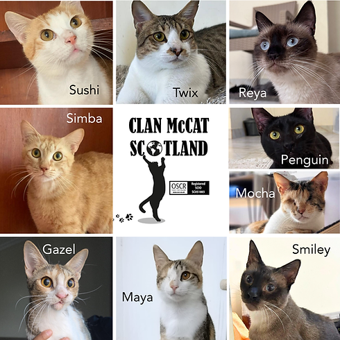 Heathrow Flight September.png