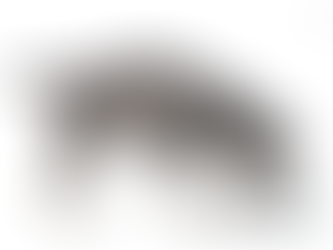 คู่มือเลี้ยงลูกสุนัขยังไงให้สุขภาพแข็งแรง ไม่ป่วยง่าย [ฉบับสมบูรณ์]