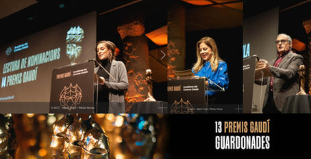 Los finalistas de los XIV Premios Gaudí 2022 / Les i els finalistes Premis Gaudí