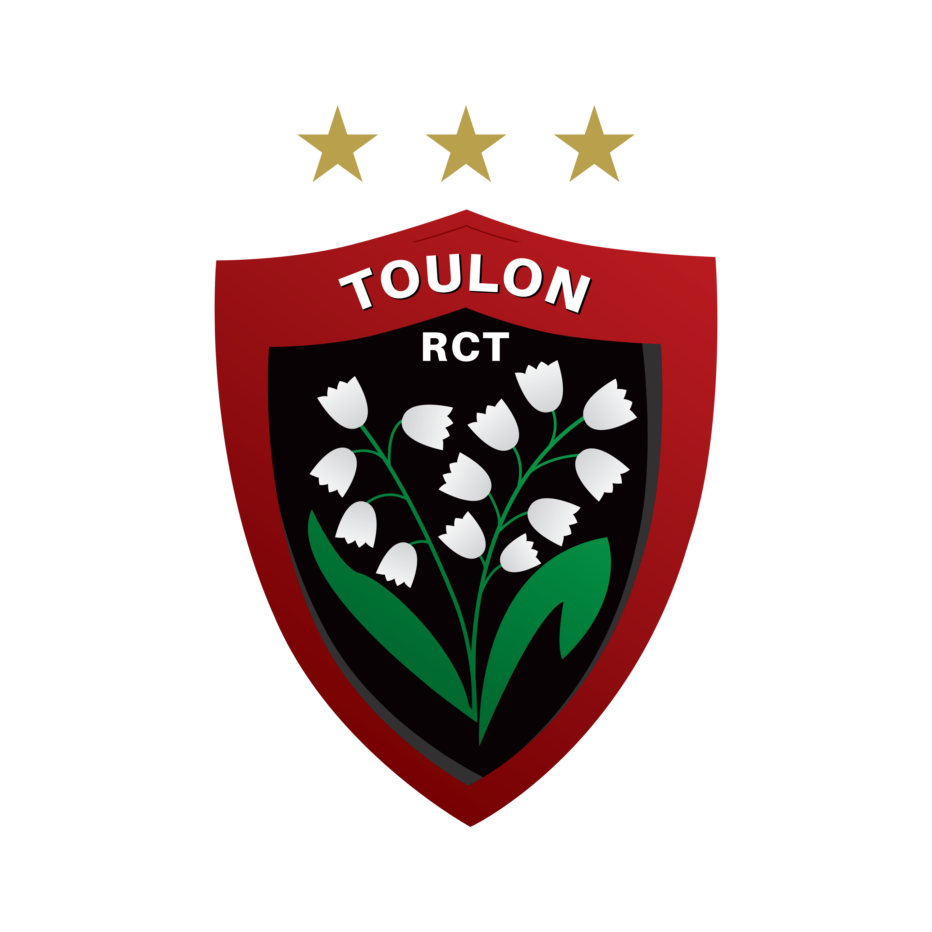 RCT — Rugby Club Toulonnais