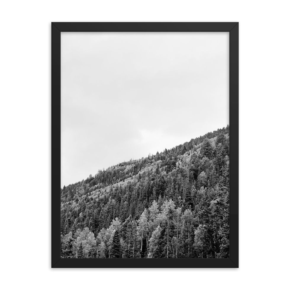 Thumbnail: Mountainside - Framed