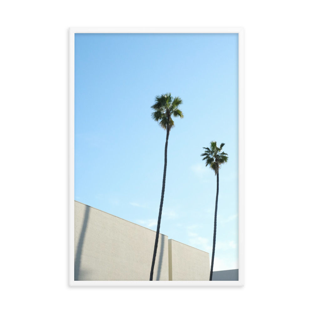 Palms - Framed