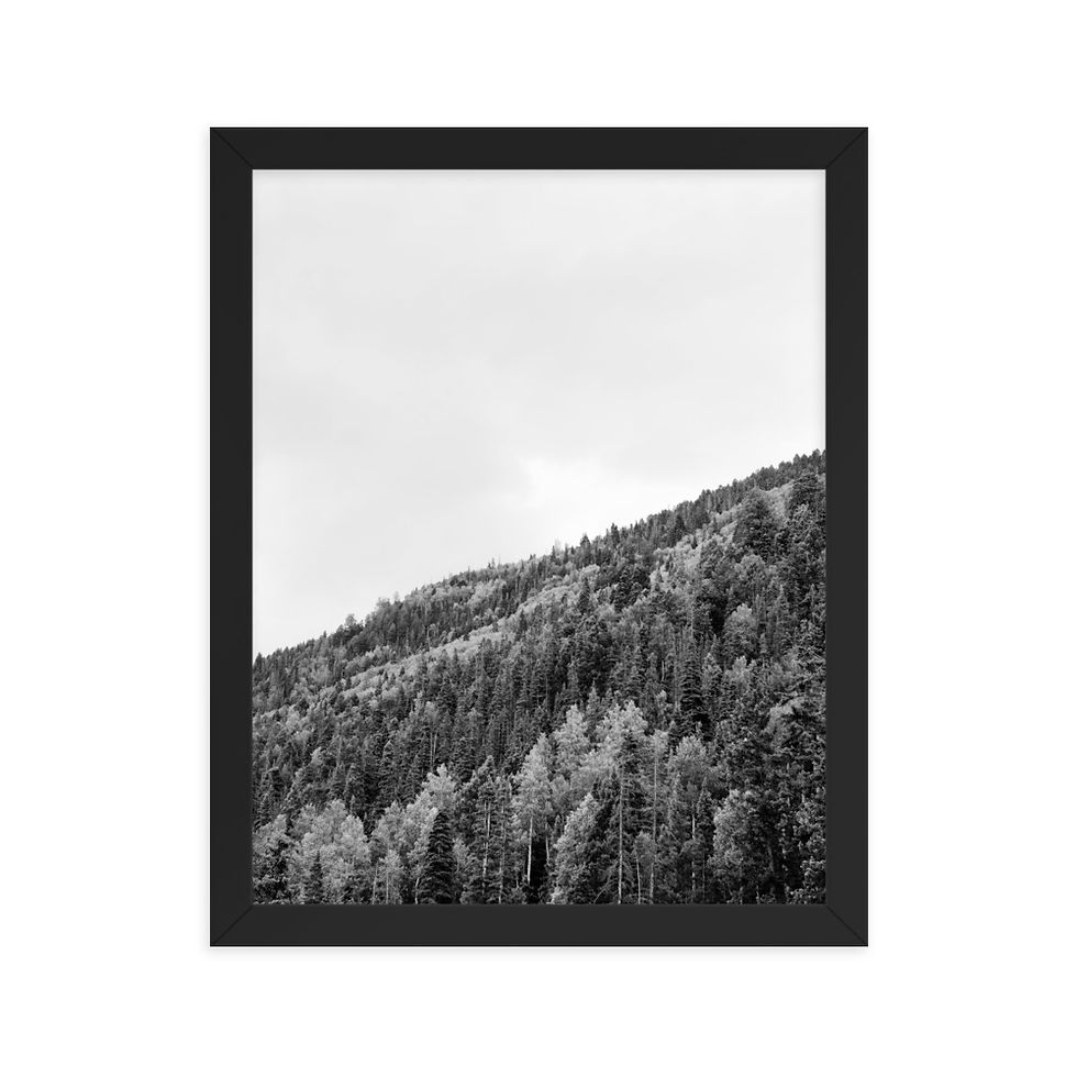 Thumbnail: Mountainside - Framed