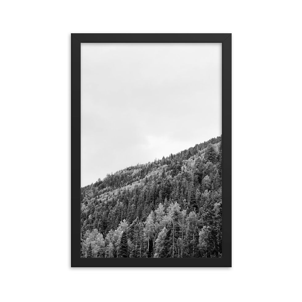Thumbnail: Mountainside - Framed