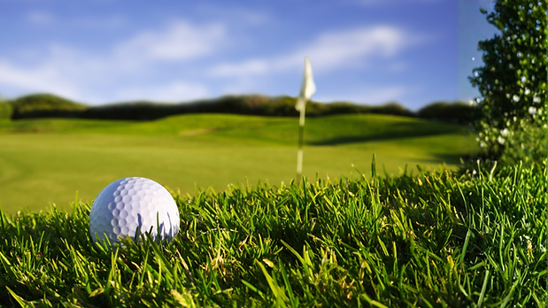 Golf pro am (2).png