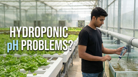 Young man checking hydroponic nutrient water pH levels inside a greenhouse with text “Hydroponic pH Problems?”.