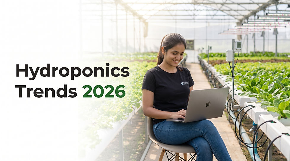 Woman monitoring a hydroponic farming system inside a modern greenhouse showcasing future agriculture trends in 2026.