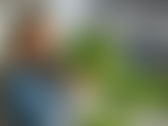 Hydroponics system growing fresh vegetables on a balcony in 7 days beginner guide