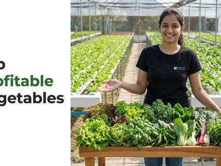 Top 7 Hydroponic Vegetables with High Profit Margins in 2026 | Maximum Cultivator