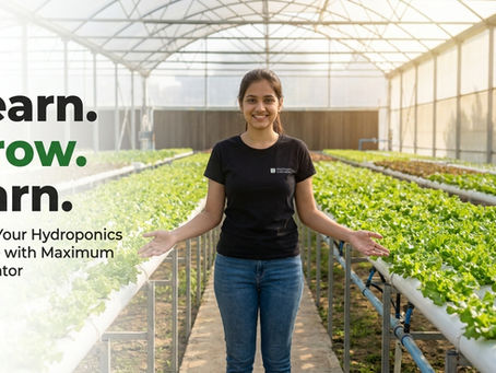 Student learning hydroponic farming through Maximum Cultivator's Modern Hydroponics Course in a commercial greenhouse.