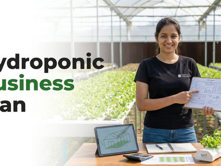 Hydroponic Farming Business Plan for Beginners